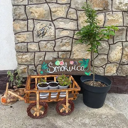 Appartamento Smokvica *