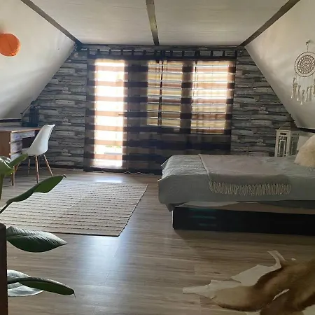 Smokvica Stari Slankamen